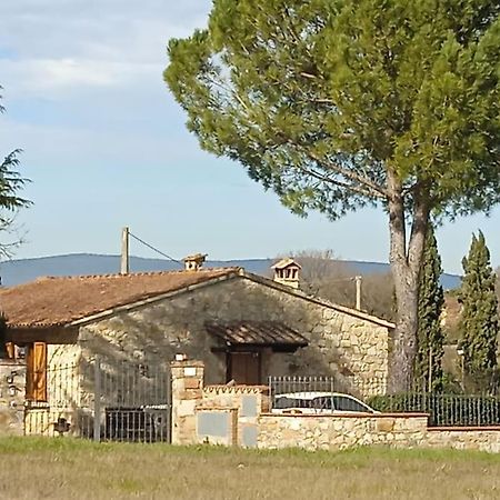 Villetta Con Parco Vicino San Gimignano 콜레 발델사 외부 사진