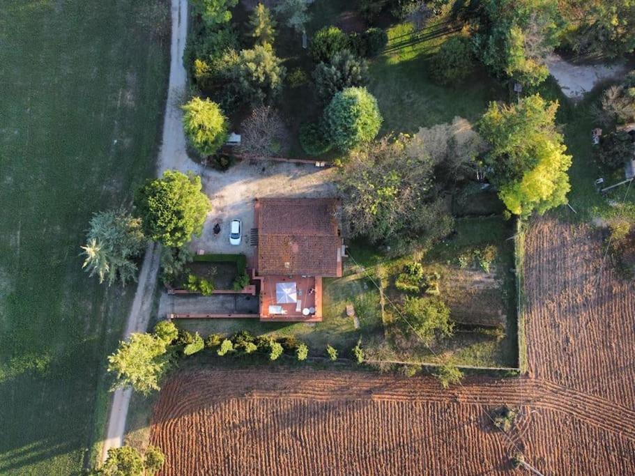 Villetta Con Parco Vicino San Gimignano 콜레 발델사 외부 사진