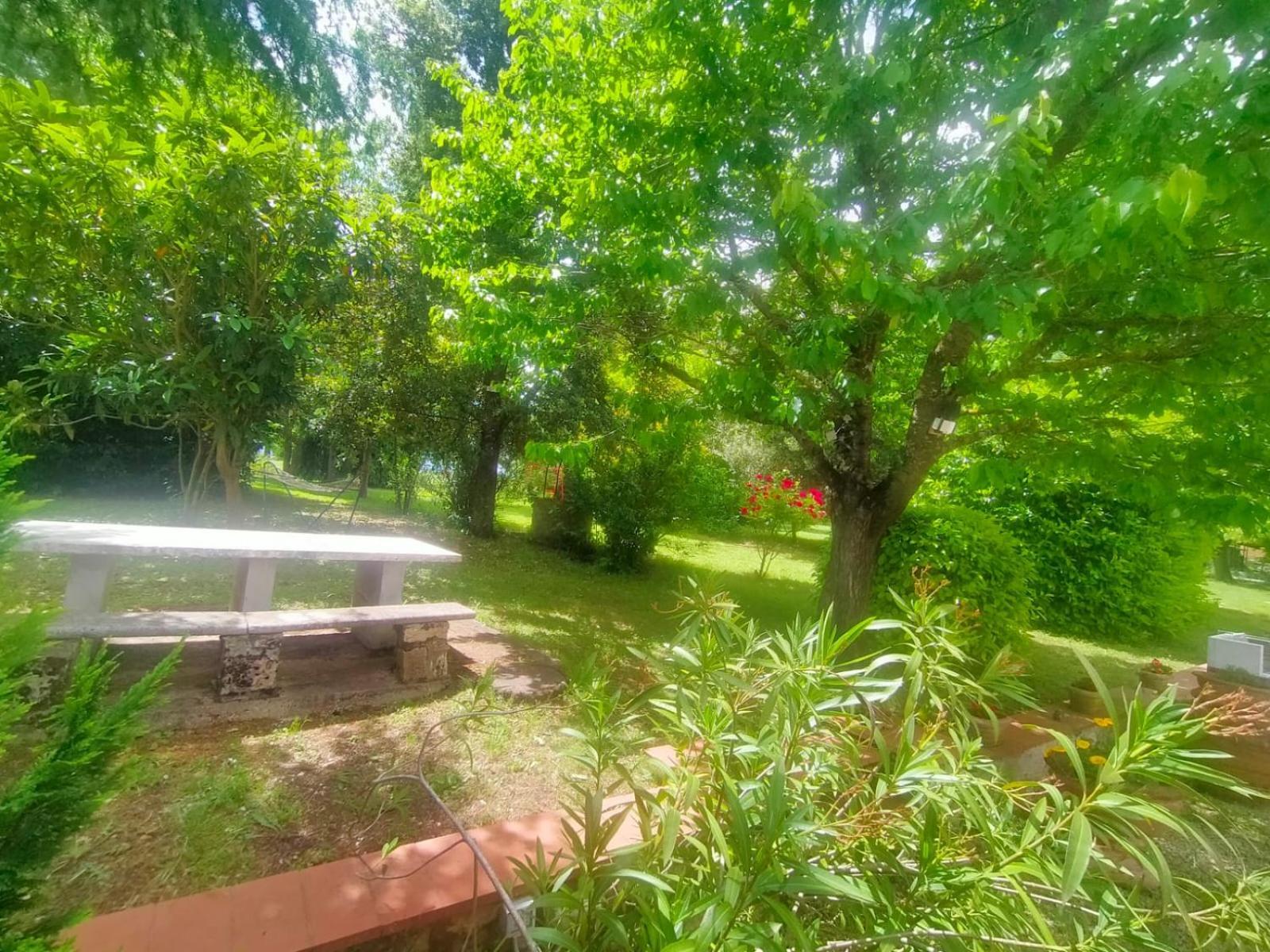 Villetta Con Parco Vicino San Gimignano 콜레 발델사 외부 사진