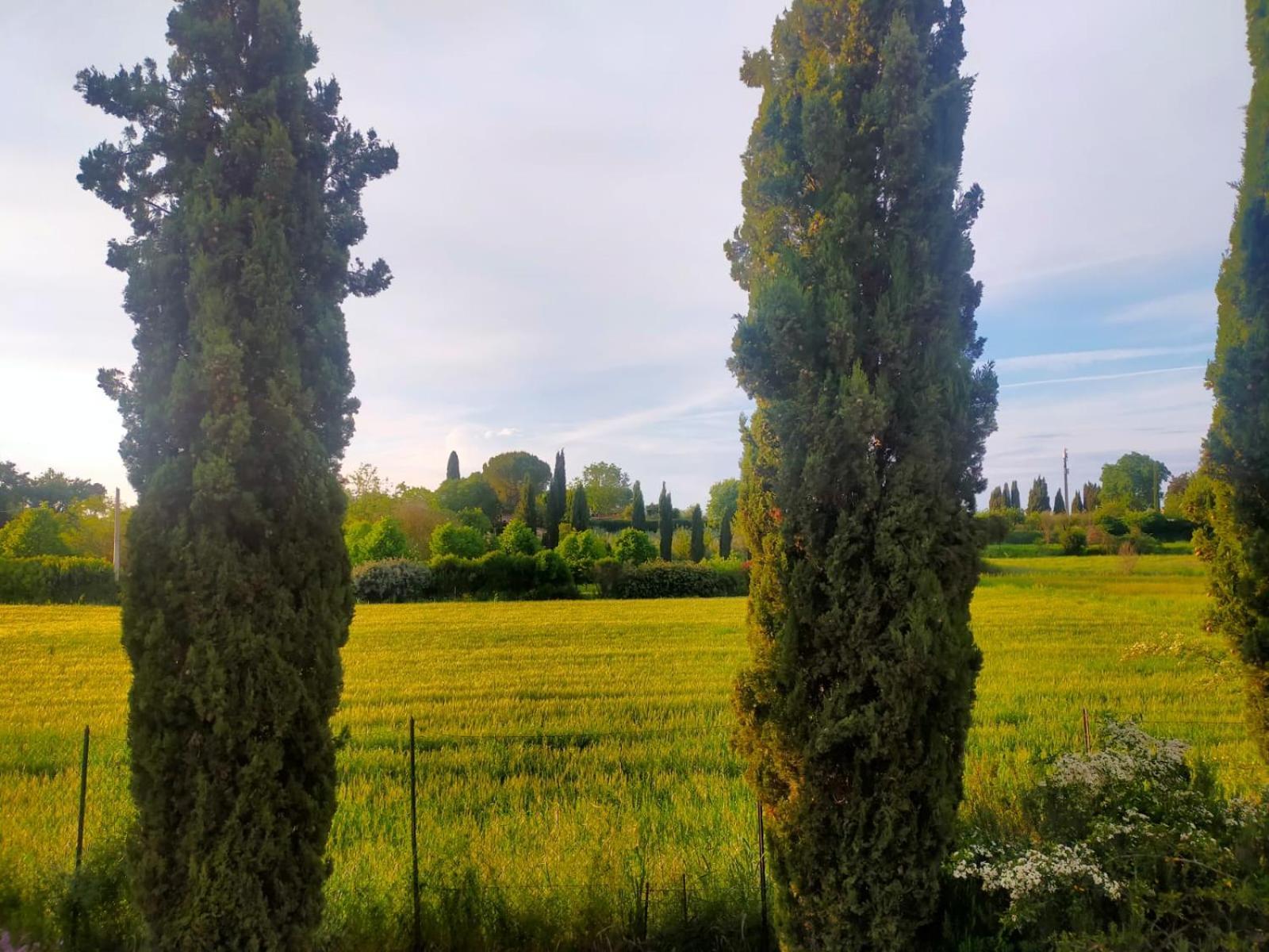 Villetta Con Parco Vicino San Gimignano 콜레 발델사 외부 사진